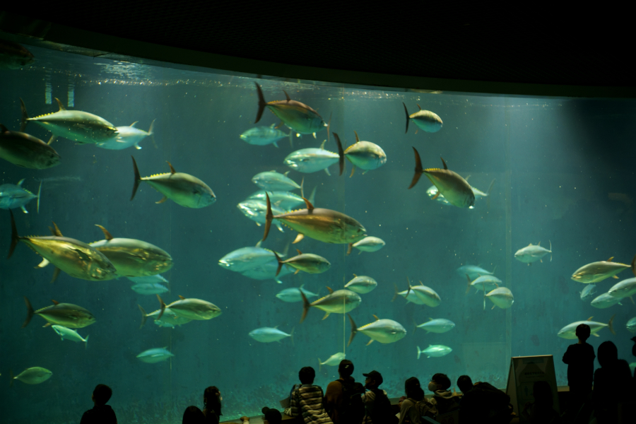 葛西臨海水族園