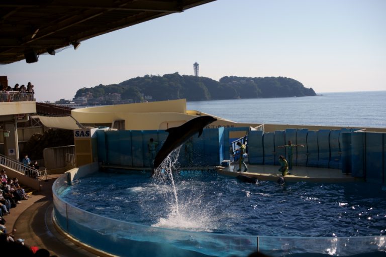 新江ノ島水族館