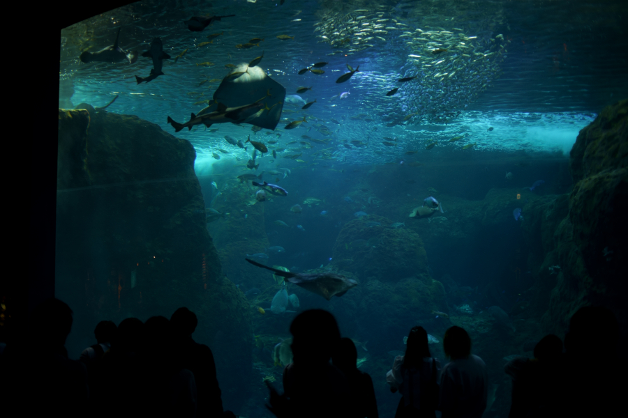 新江ノ島水族館