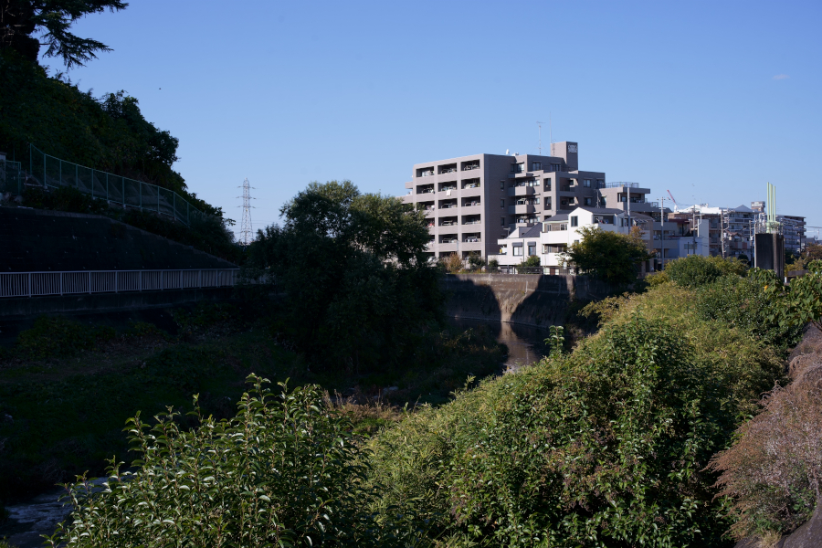 矢上川