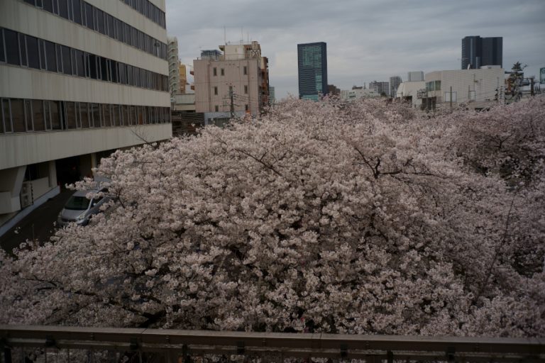 目黒川