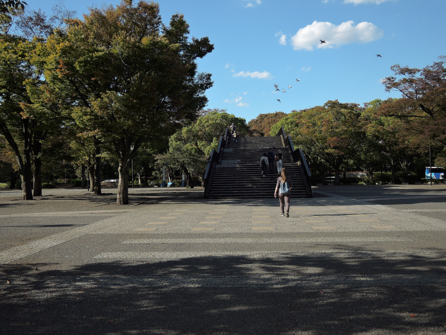 代々木公園