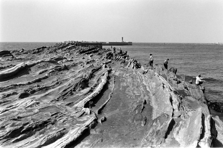 城ヶ島