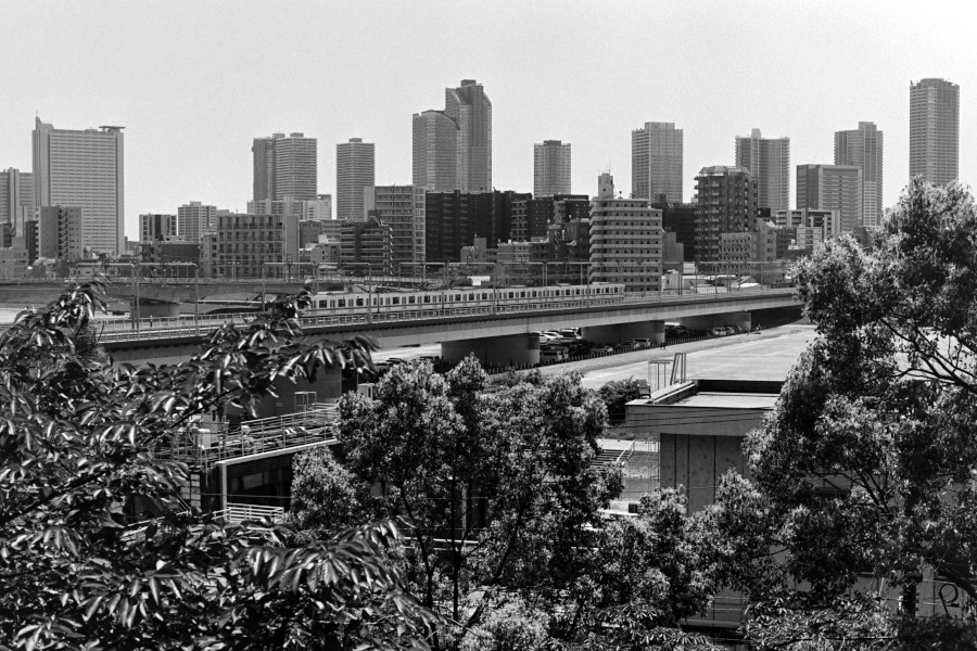 多摩川台公園