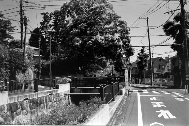 丸子川