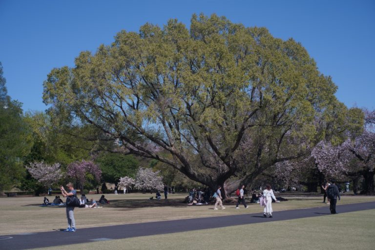 新宿御苑