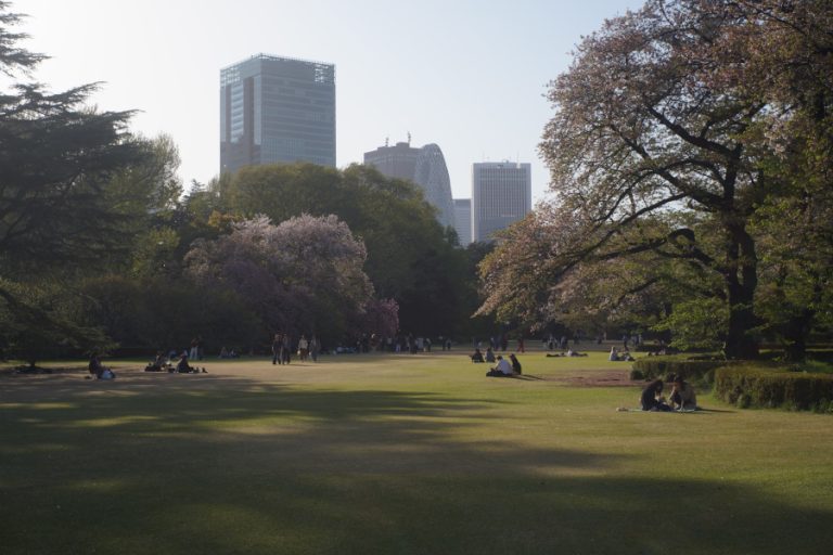 新宿御苑
