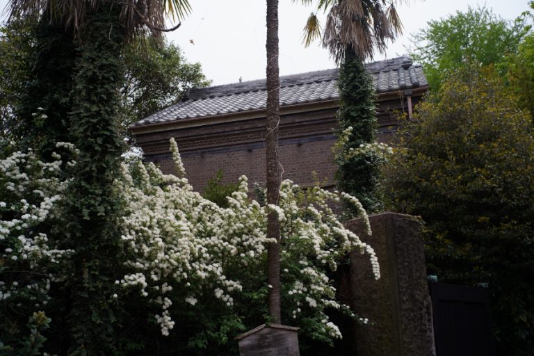谷中