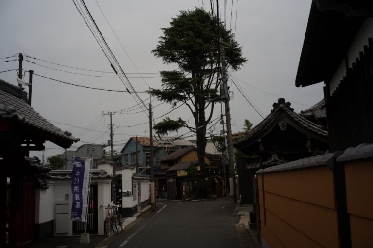 谷中
