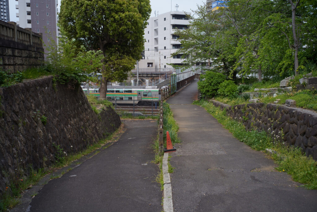 谷中