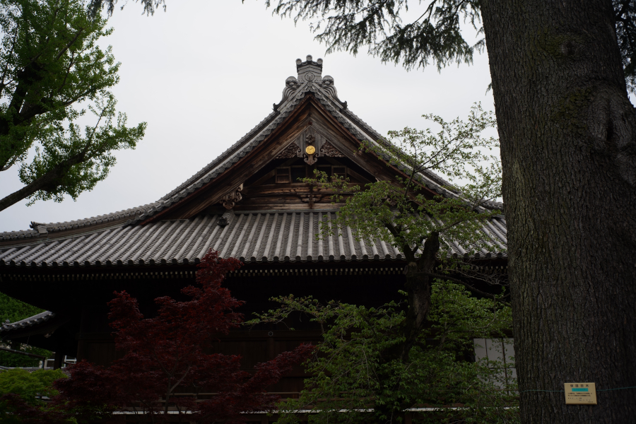 上野桜木
