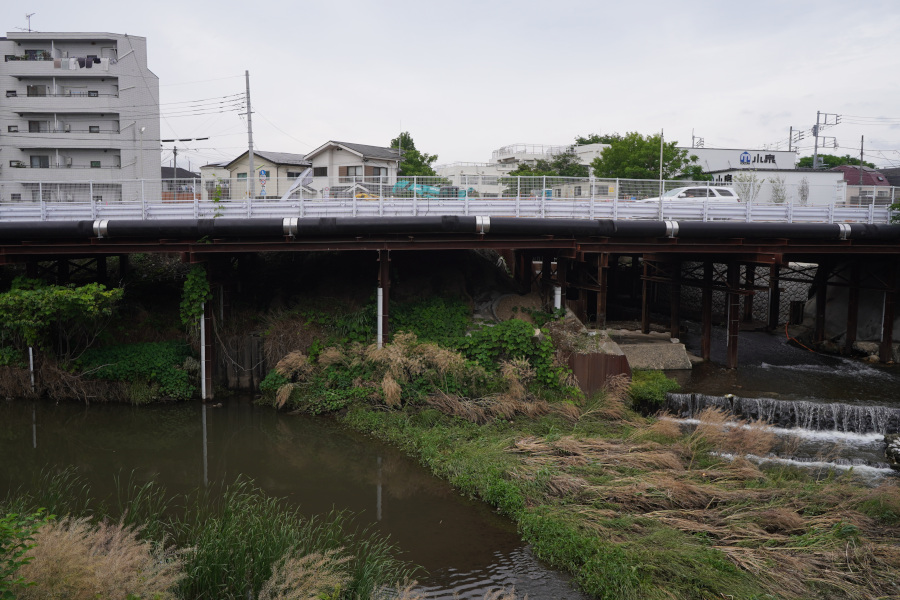 仙川・野川合流