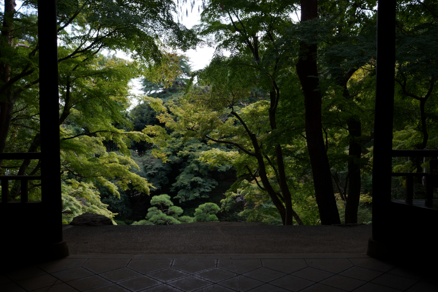 殿ヶ谷戸庭園