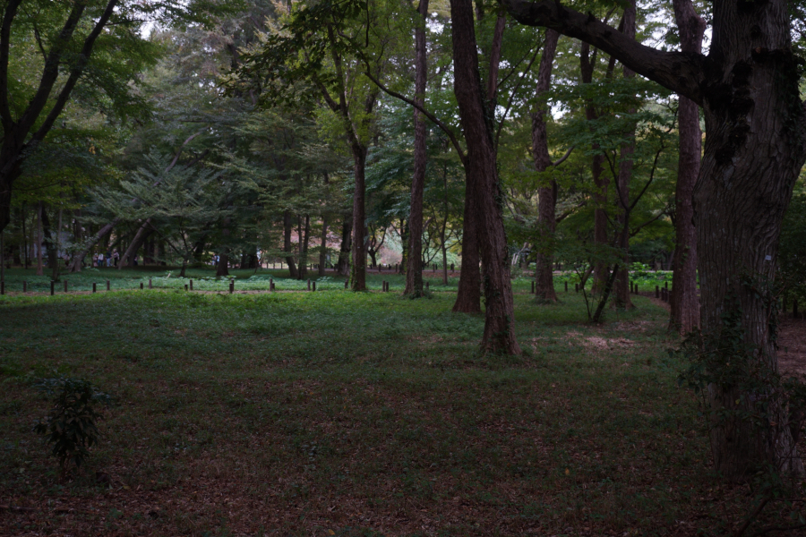 神代植物公園
