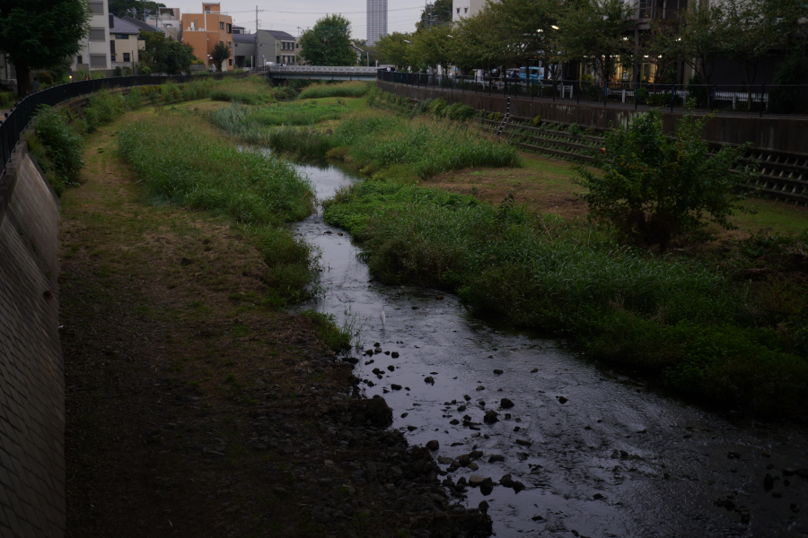 野川